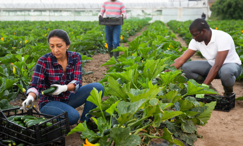 Farm Worker Jobs in Canada for Immigrants